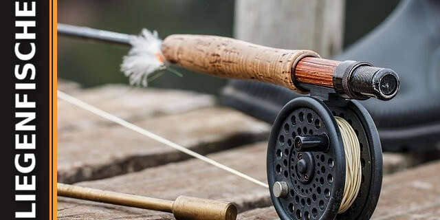 Fliegenfischen für Anfänger