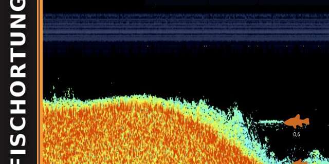 Echolote zur Fischortung