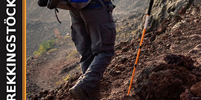 Wander- und Trekkingstöcke