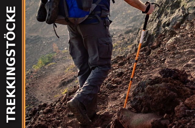 Wander- und Trekkingstöcke