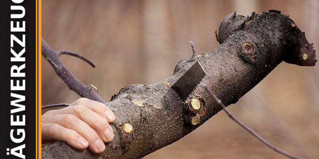 saegewerkzeug Sägewerkzeug für die Holzbearbeitung