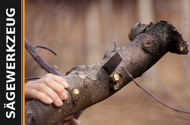 Sägewerkzeug für die Holzbearbeitung