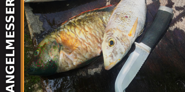 Das beste Messer zum Angeln