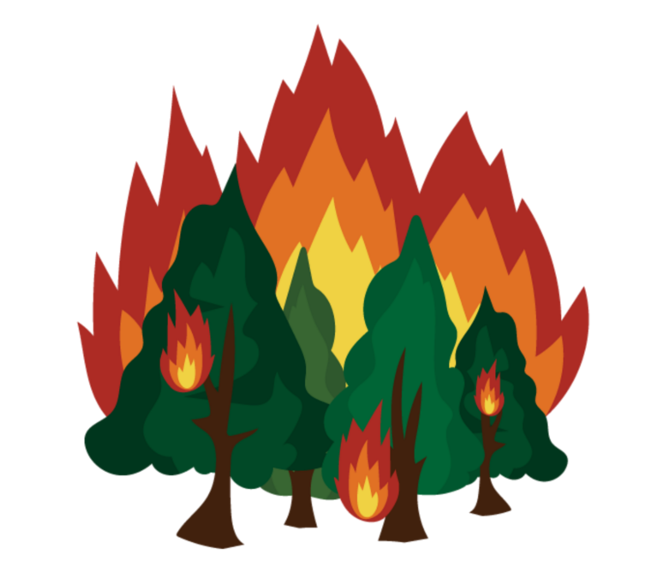 Waldbrand