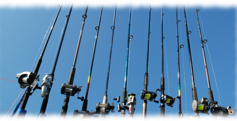 Fenteer 3-teilige Karpfenrute - Feederrute Mit Austauschbaren Spitzen