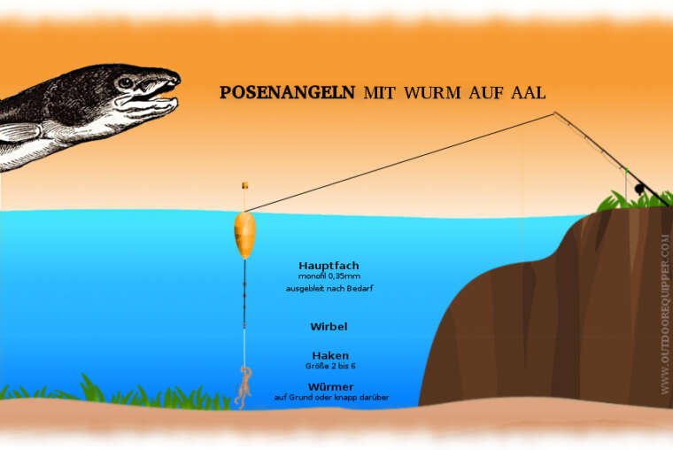 Erfolgreich auf Aal Angeln: Montagen, Tackle und Tipps für 2024 ...