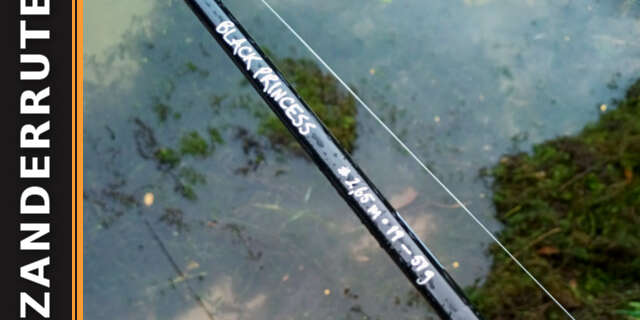 Zanderrute - Wurfgewicht und Aktion sind entscheidend