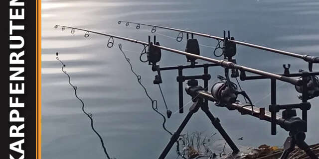 karpfenruten-title Karpfenruten: Welche ist die beste für mich