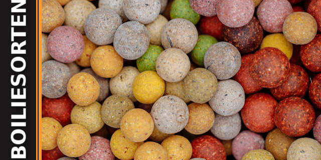 boiliesorten Boiliesorten ählen: Farben & Aromen für mehr Erfolg