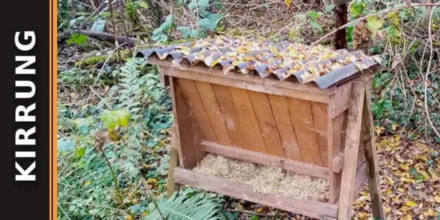 Kirrung meistern: Ein Leitfaden für erfolgreiche Wildtieranlockung