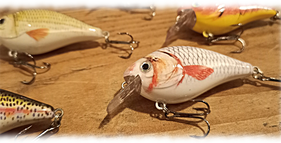 Wobbler Arten: Crankbaits