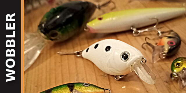 Die besten Wobbler: Modelle und Tipps zum Angeln