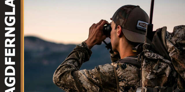 Das beste Fernglas für die Jagd: Kaufberatung und Empfehlungen