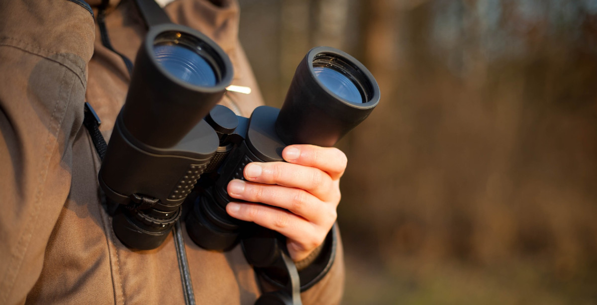 Fernglas für die Jagd