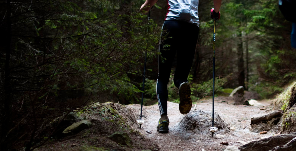 Wanderstöcke aus Carbon eignen sich zum Wandern, Trekking und Trailrunning