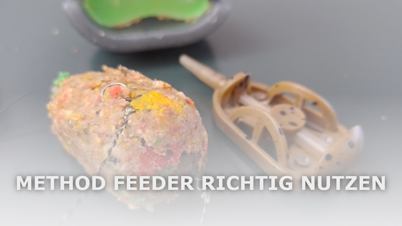 Method Feeder erfolgreich nutzen: Montagen & Ausrüstung im Detail