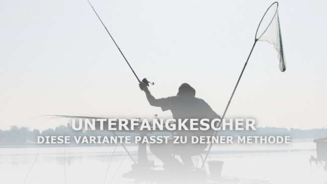 unterfangkescher-titel Unterfangkescher: Diese Variante passt zu deiner Angelmethode