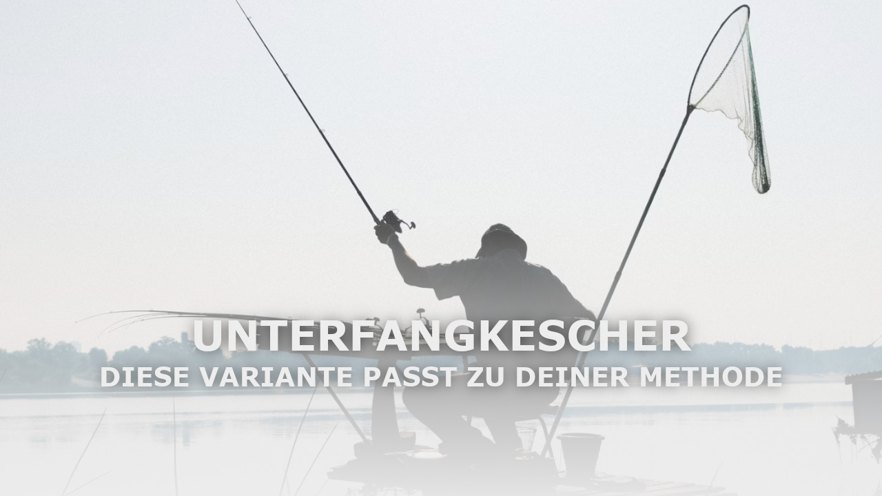 Unterfangkescher: Diese Variante passt zu deiner Angelmethode